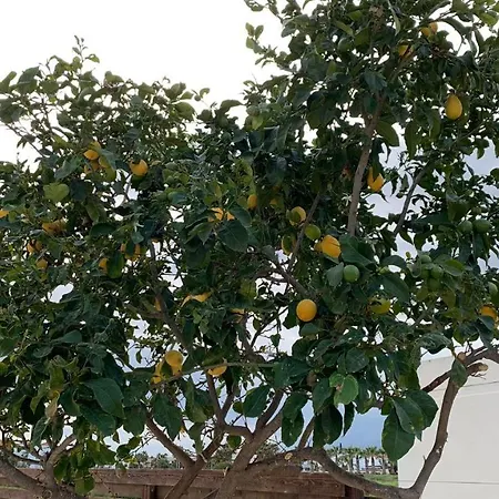 别墅 Moonlight Sea View 圣纳帕