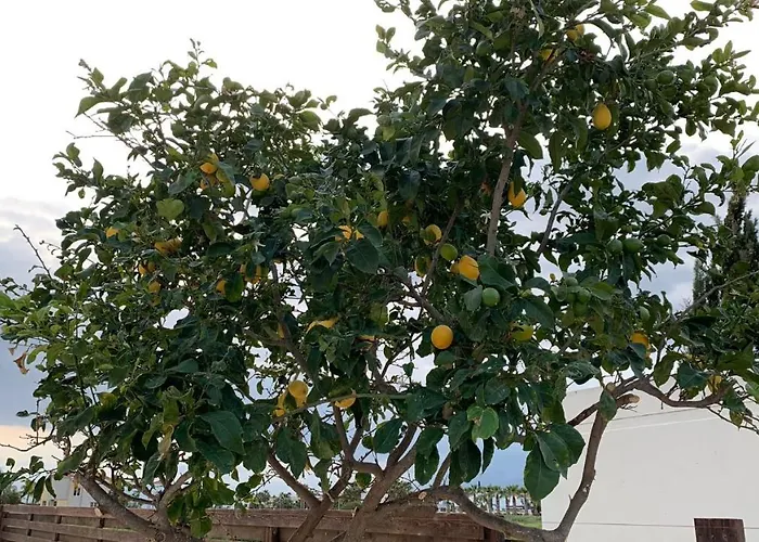 Βίλα Moonlight Sea View Αγία Νάπα